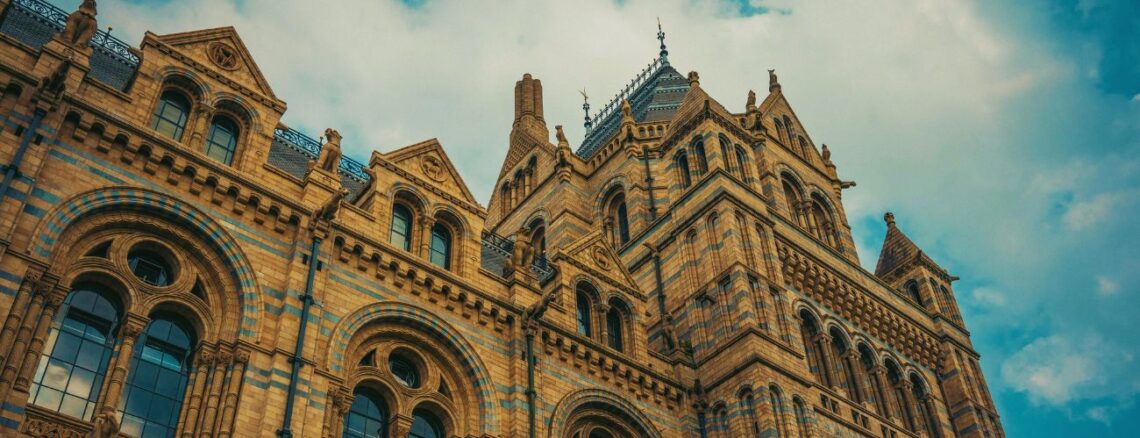 Best museums in London header image of natural history museum