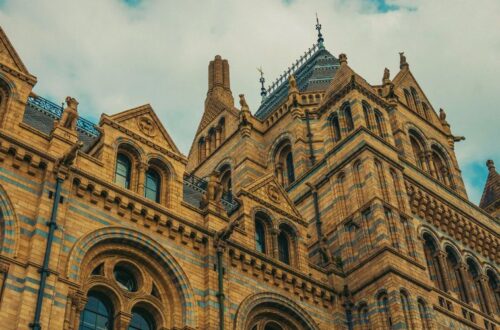 Best museums in London header image of natural history museum