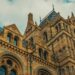 Best museums in London header image of natural history museum